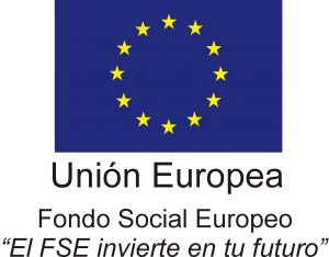 fse_logo